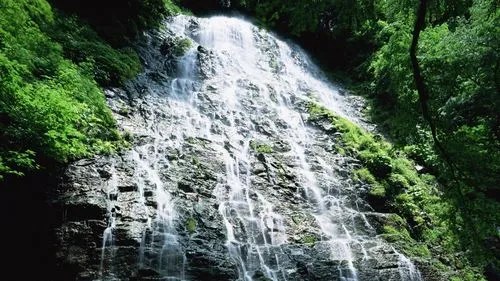 智能化高精度高端